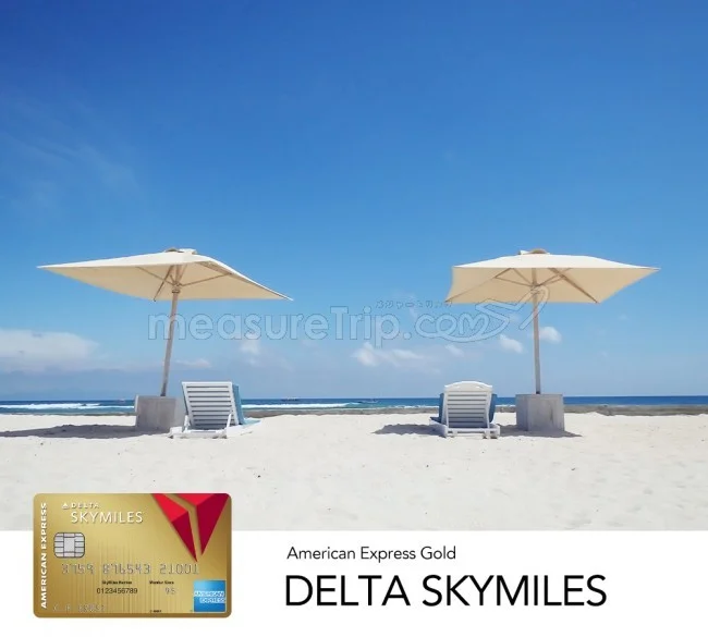 デルタ航空 マイル特典航空券（特典旅行）の予約方法と座席指定