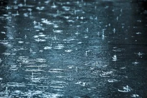 [初めての冬の地中海クルーズ旅行記14] モリオは雨男。旅行中ずっと雨!