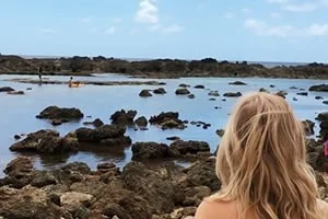 [エアアジアで行く激安ハワイ旅行記30] シャークスコーヴ。その海の中。