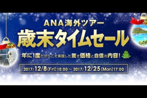 ANAハワイ格安ツアー