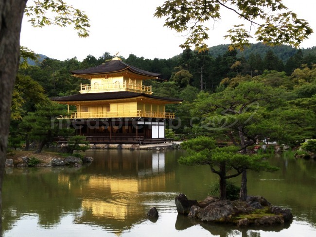 京都観光 おすすめ 京都情報