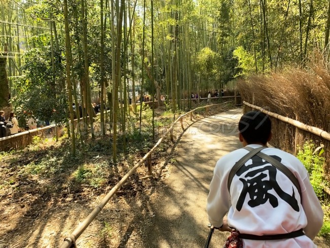 翠嵐 ブログ 滞在記 宿泊記 口コミ レビュー