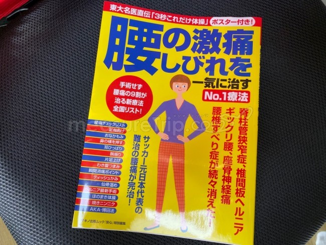 腰痛持ち 椅子 おすすめ