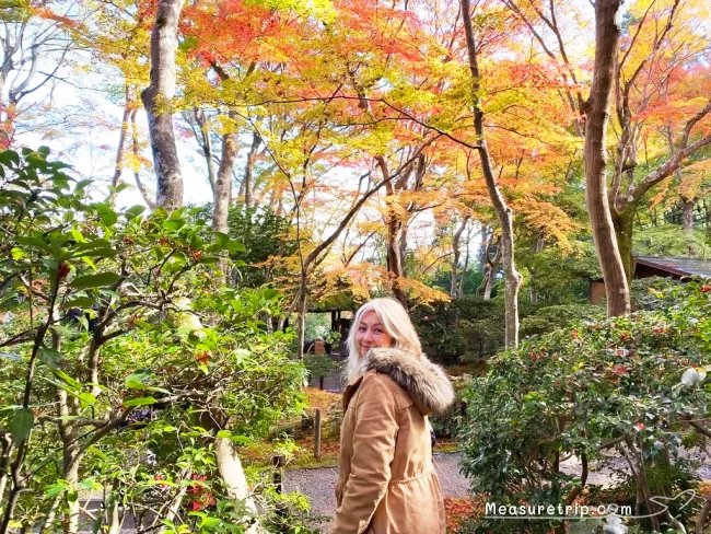 京都 紅葉 見頃 時期