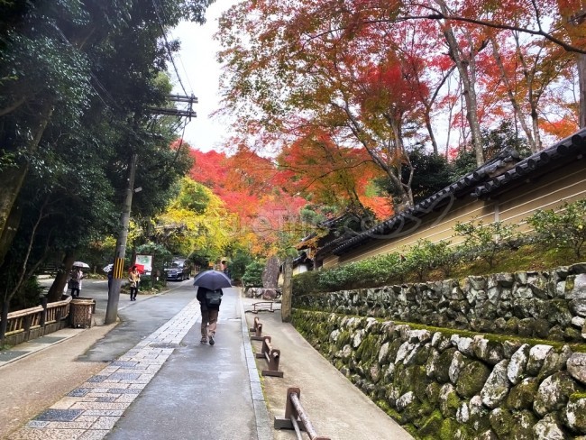 人力車 京都 嵐山 観光