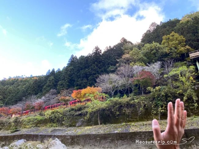 京都 保津川下り 乗り方