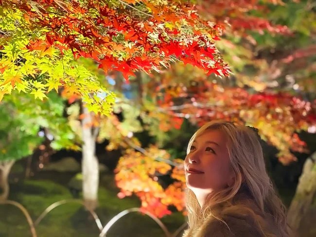 宝厳院 紅葉 秋の特別拝観 拝観料