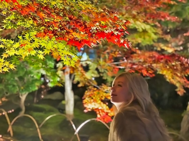 宝厳院 紅葉 秋の特別拝観 拝観料