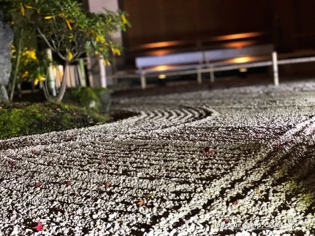 宝厳院 紅葉 秋の特別拝観 拝観料