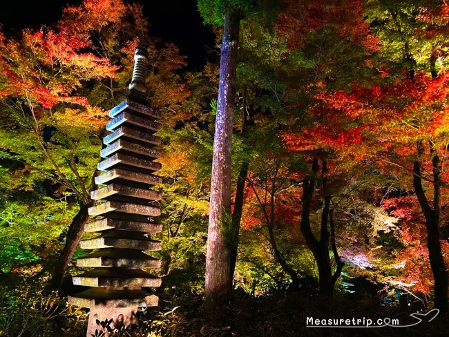 宝厳院 紅葉 秋の特別拝観 拝観料
