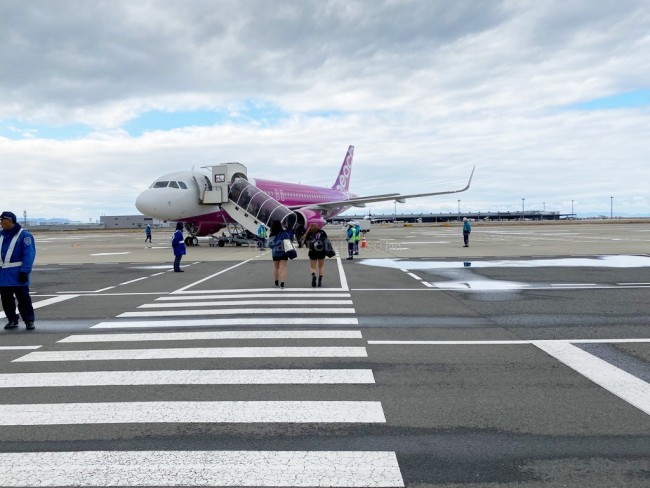 ピーチ A322 エコノミークラス
