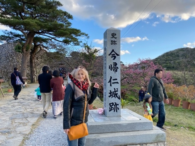 沖縄旅行 冬 おすすめ お花見 今帰仁グスク桜まつり