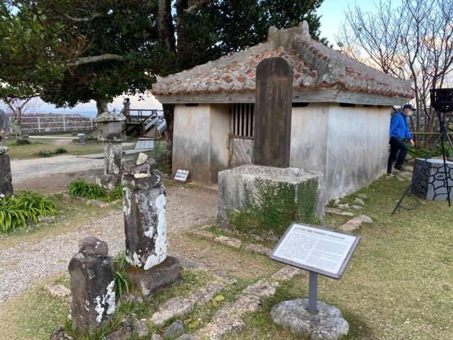 沖縄旅行 冬 おすすめ お花見 今帰仁グスク桜まつり