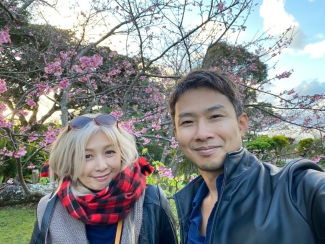 沖縄旅行 冬 おすすめ お花見 今帰仁グスク桜まつり