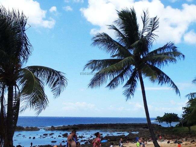 コロナ禍 ハワイ旅行 入国制限