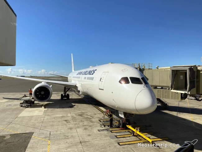 JAL SKY SUITE Ⅲ スカイスイート3