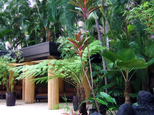 アクア バンブー ワイキキ(Aqua Bamboo Waikiki)