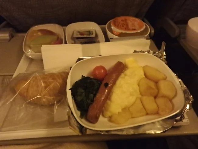 [初めての冬の地中海クルーズ旅行記20] 1日目・エミレーツEK317便・関空-ドバイの機内食