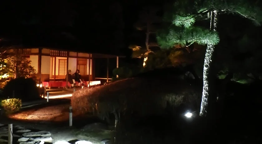 京都二条城 桜のライトアップ