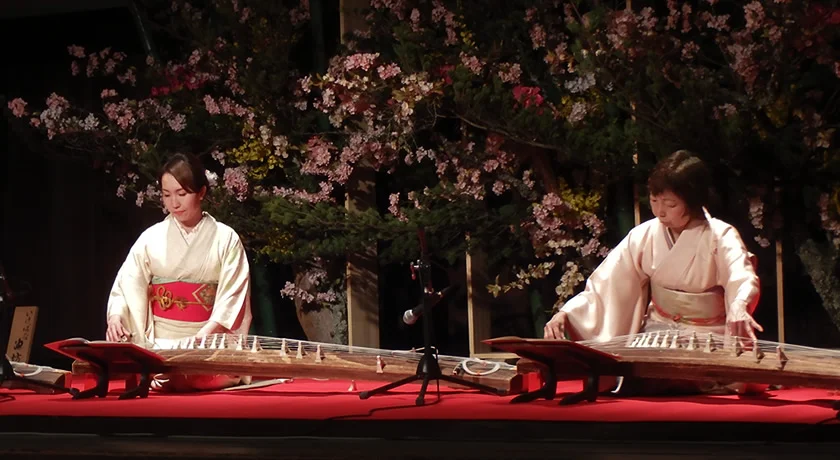 京都二条城 桜のライトアップ