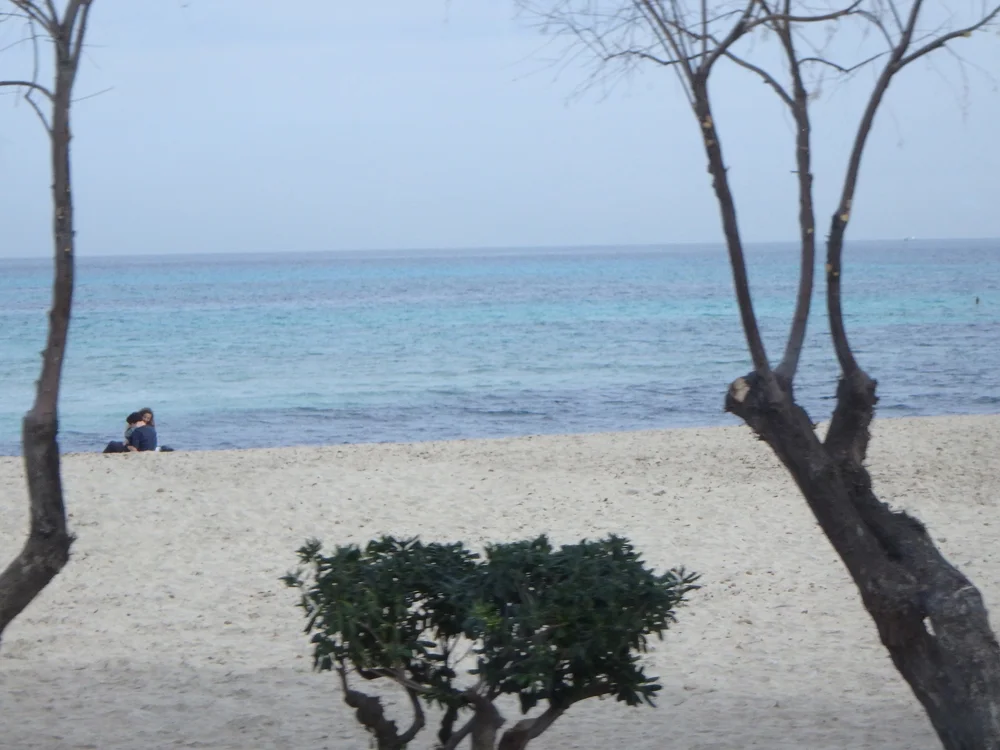 [初めての冬の地中海クルーズ旅行記50] シチリア島パレルモの街並み