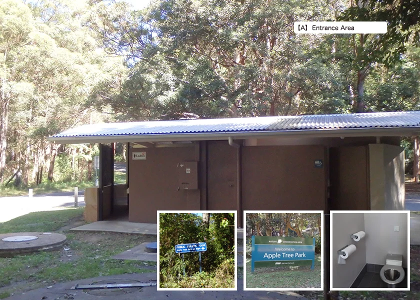 [ゴールドコーストの絶景ビーチへ格安GW旅行記36] 7日目・スプリングブルック国立公園観光ドライブルート(前編)