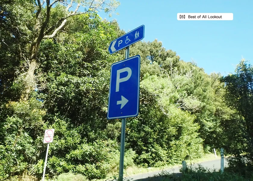 [ゴールドコーストの絶景ビーチへ格安GW旅行記36] 7日目・スプリングブルック国立公園観光ドライブルート(前編)