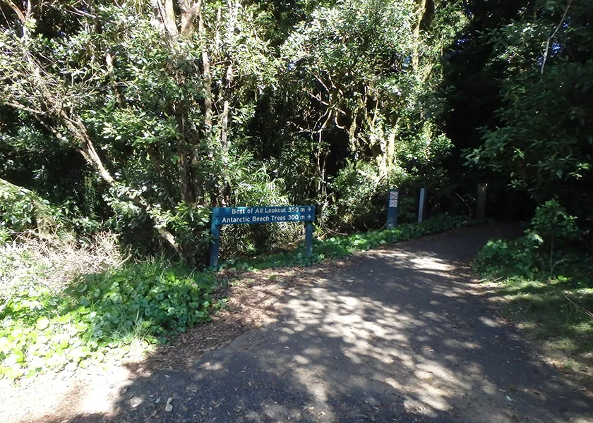 [ゴールドコーストの絶景ビーチへ格安GW旅行記36] 7日目・スプリングブルック国立公園観光ドライブルート(前編)