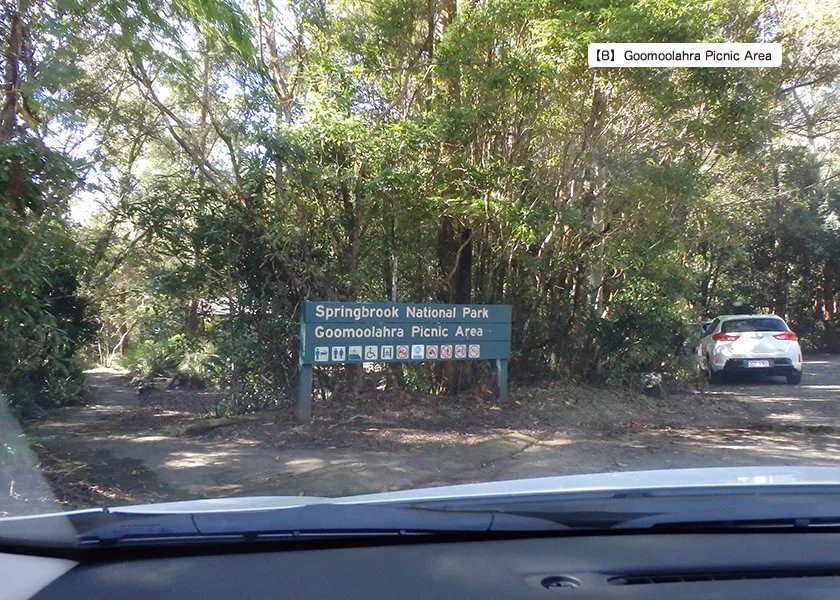 [ゴールドコーストの絶景ビーチへ格安GW旅行記36] 7日目・スプリングブルック国立公園観光ドライブルート(前編)