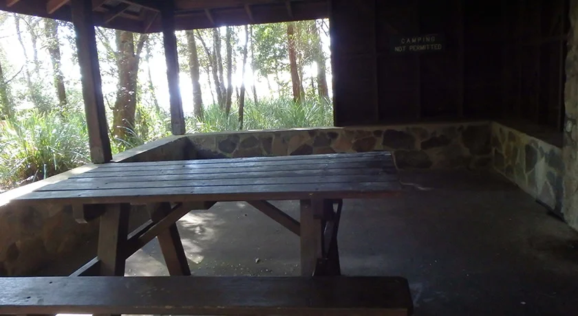 [ゴールドコーストの絶景ビーチへ格安GW旅行記36] 7日目・スプリングブルック国立公園観光ドライブルート(前編)