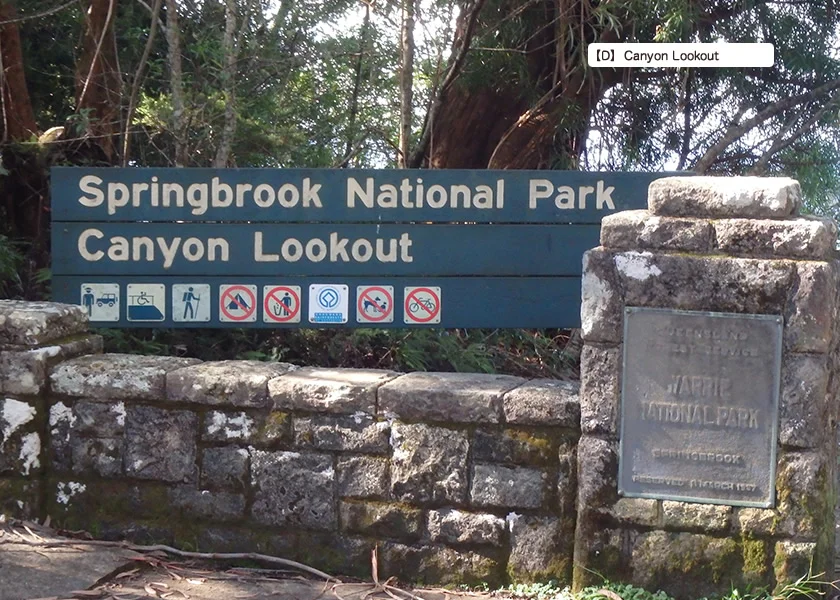 [ゴールドコーストの絶景ビーチへ格安GW旅行記37] 7日目・スプリングブルック国立公園観光ドライブルート(後編)