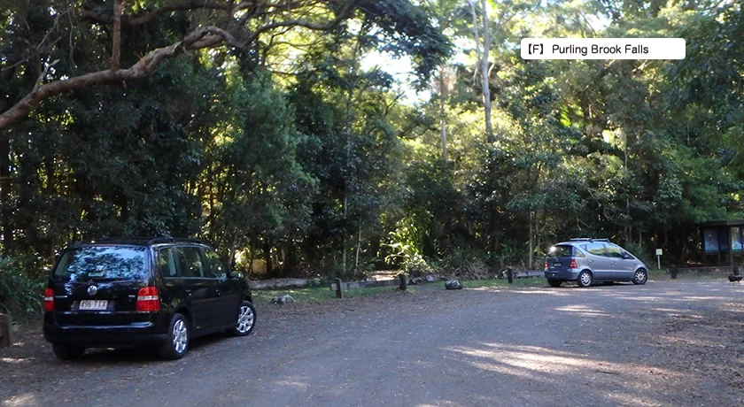 [ゴールドコーストの絶景ビーチへ格安GW旅行記37] 7日目・スプリングブルック国立公園観光ドライブルート(後編)