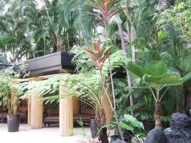[初めてのビジネスクラスでハワイ旅行記20] Aqua Bamboo Waikiki アクア バンブー & スパ の隠れ家プール
