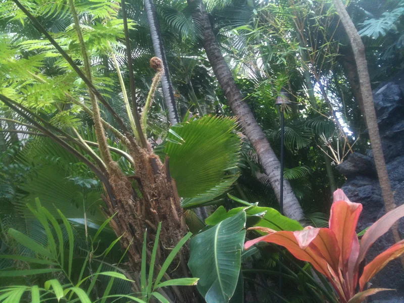 [初めてのビジネスクラスでハワイ旅行記20] Aqua Bamboo Waikiki アクア バンブー & スパ の隠れ家プール