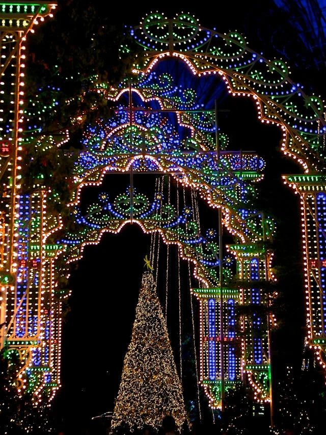 [常夏のシンガポール・クリスマス旅行記2] シンガポールのクリスマスイルミネーションを見に行こう!
