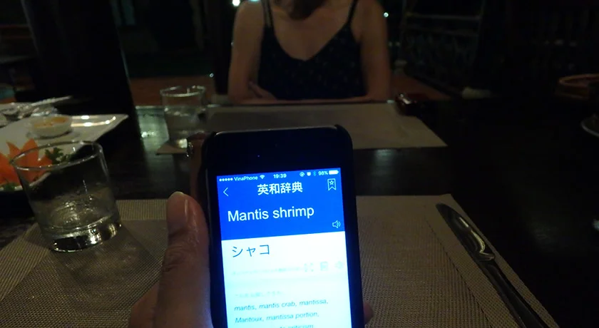 [雨季で格安！ベトナム・フーコック島旅行記49] Mantis Shrimp（マンティス・シュリンプ）って何？