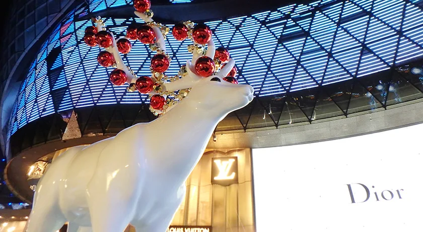 [常夏のシンガポール・クリスマス旅行記34] シンガポールのクリスマスイルミネーション(後編)