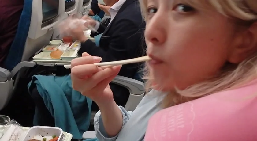 [常夏のシンガポール・クリスマス旅行記52] 片道7600円!ベトナム航空で行く常夏のクリスマス・シンガポール格安旅行記 52】ホーチミン・タンソンニャット国際空港 ・シンガポール常夏のクリスマス旅行、お疲れ様！ただいま!
