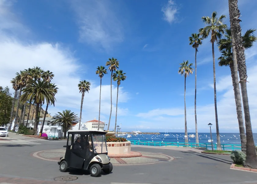 [LAからメキシコクルーズ＆ディズニーランド旅行記41] サンタカタリナ島の素敵な雑貨屋さん「Sun Kissed」