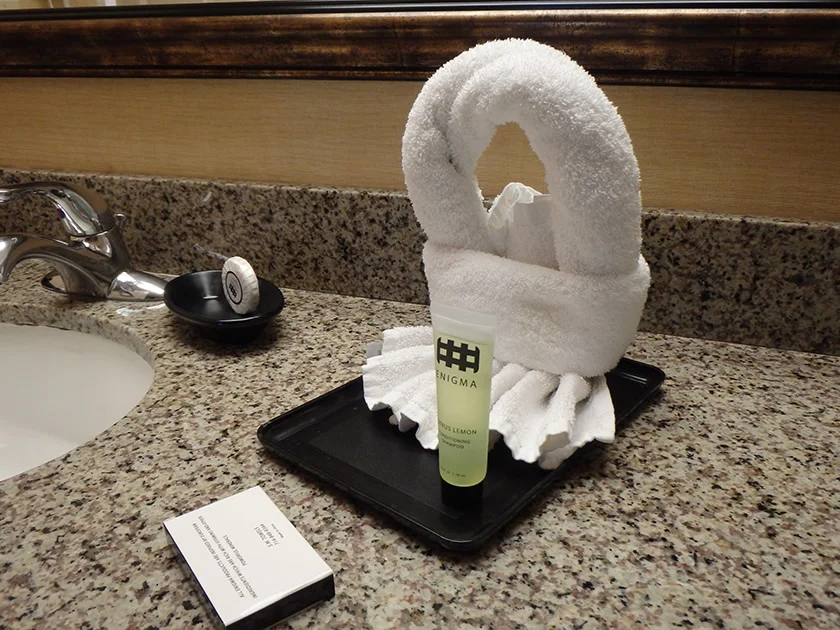 [LAからメキシコクルーズ＆ディズニーランド旅行記63] ディズニーグッドネイバーホテル・Castle Inn And Suites