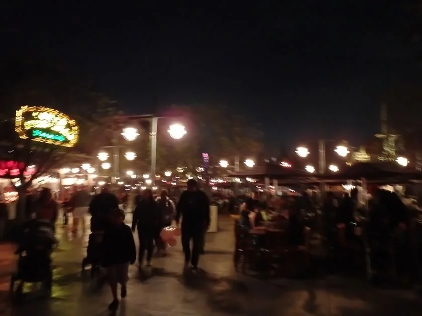 [LAからメキシコクルーズ＆ディズニーランド旅行記65] え!?ワールドオブカラーのファストパス持ってるのに「椰子の木の幹」ビュー!?