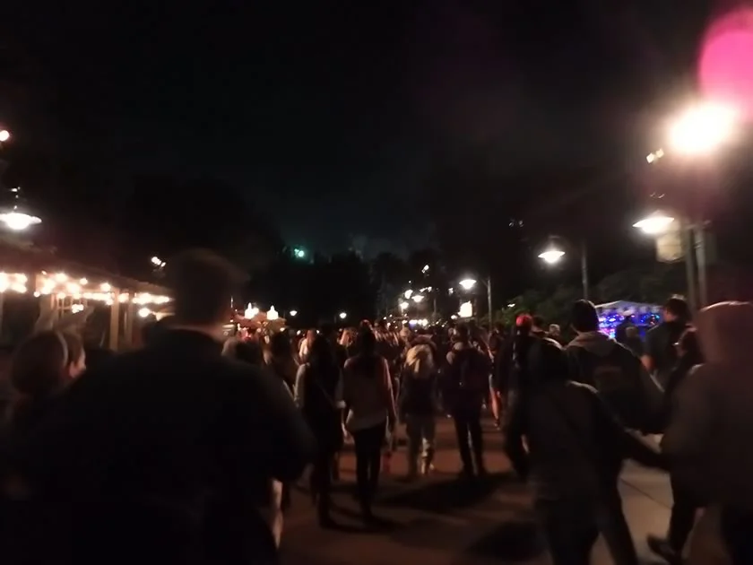 [LAからメキシコクルーズ＆ディズニーランド旅行記65] え!?ワールドオブカラーのファストパス持ってるのに「椰子の木の幹」ビュー!?