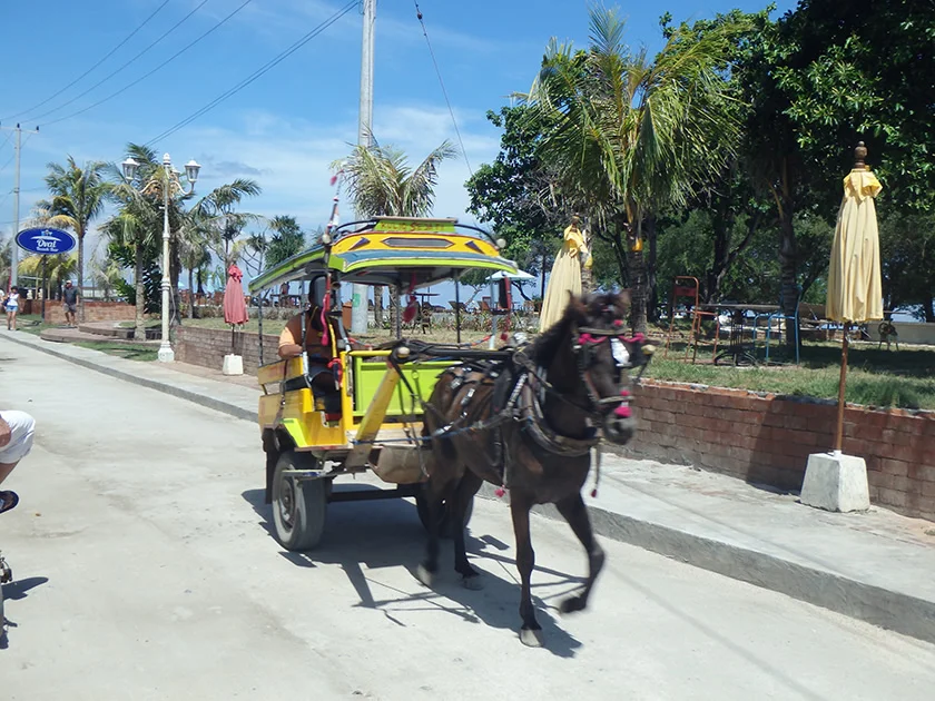 [インドネシアのパリピ秘境・ギリ島旅行記27] 3日目・ギリトラワンガン島を自転車で巡る。