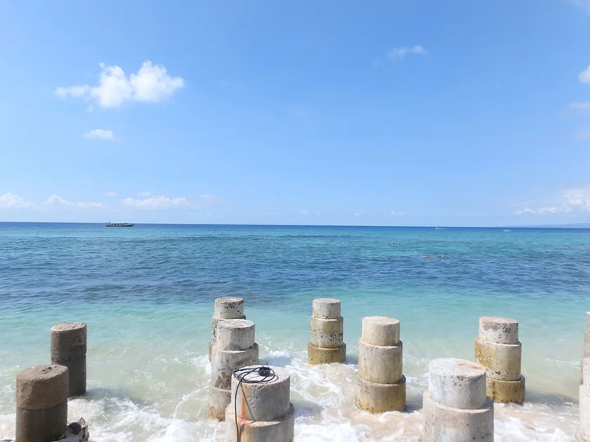[インドネシアのパリピ秘境・ギリ島旅行記32] デカイ魚が釣れた。食えんのかな?これ。