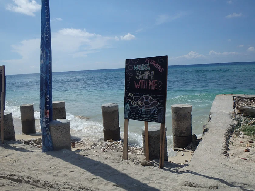 [インドネシアのパリピ秘境・ギリ島旅行記32] デカイ魚が釣れた。食えんのかな?これ。