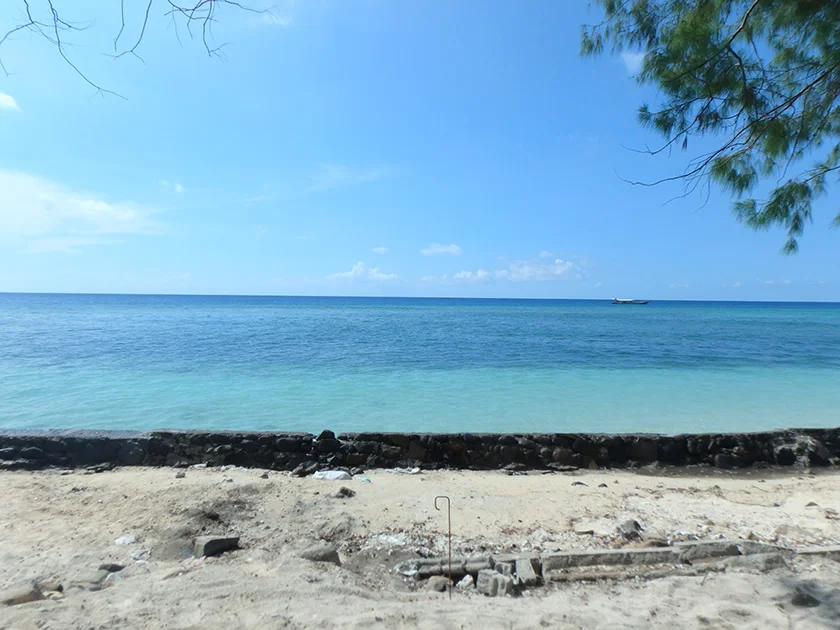 [インドネシアのパリピ秘境・ギリ島旅行記32] デカイ魚が釣れた。食えんのかな?これ。