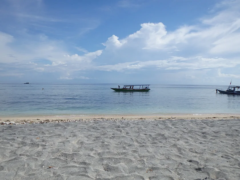 [インドネシアのパリピ秘境・ギリ島旅行記37] まずは近場でシュノーケルで、いきなりウミガメに遭遇。