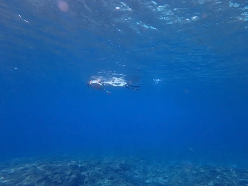[インドネシアのパリピ秘境・ギリ島旅行記38] ギリ島のアイランドホッピング・ボートシュノーケル