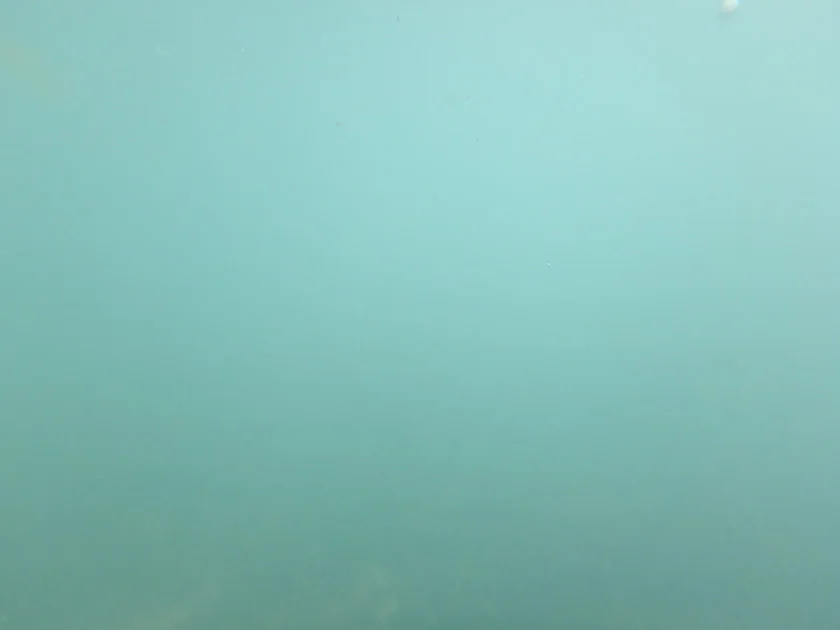 [インドネシアのパリピ秘境・ギリ島旅行記46] トラワンガン島北部の海をビーチからシュノーケルしてみる。