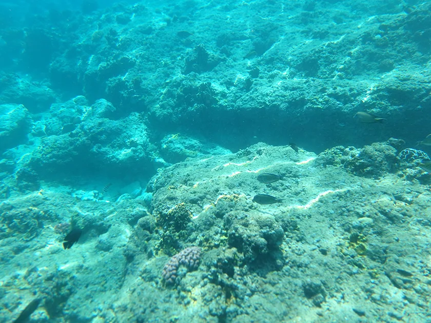 [インドネシアのパリピ秘境・ギリ島旅行記46] トラワンガン島北部の海をビーチからシュノーケルしてみる。